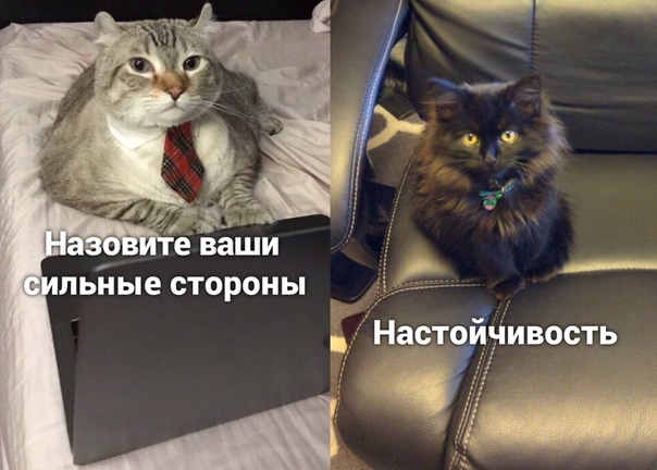ч льйые стороны у Нат