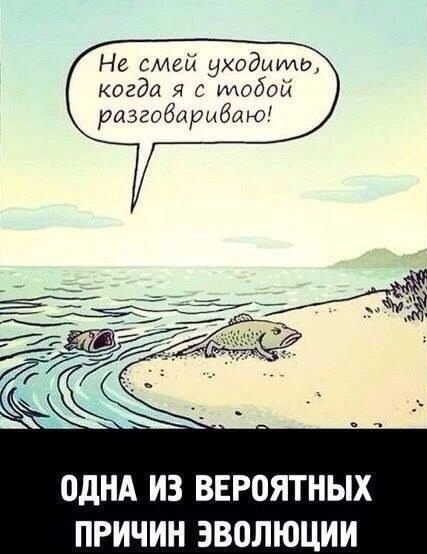 Не смей уходыию когда я с тобой разгобарыбаю ОДНА ИЗ ВЕР0ЯТНЫХ ПРИЧИН ЭВОЛЮЦИИ