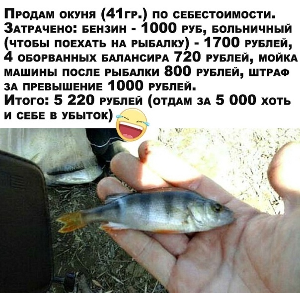 ПРодАм окуня 41 П по севестоимости ЗАтРАчено БЕНЗИН 1000 РУБ Больничный чтовы поехдть ид РЫБАЛКУ 1700 РУБЛЕЙ 4 ОБОРВАННЫХ БАПАНСИРА 720 РУБЛЕЙ майкл МАшииы после РЫБАЛКИ 800 РУБЛЕЙ ШТРАФ ЗА ПРЕВЫШЕНИЕ 1000 РУБЛЕЙ Итого 5 220 РУБЛЕЙ отдАм зд 5 000 хоть и сЕБЕ в УБыток _ ъіг д