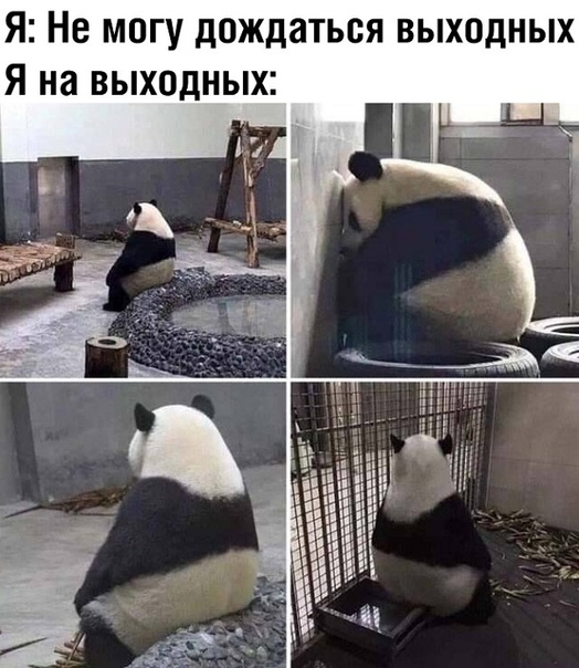 Я Не могу дождаться выходных Я на выходных