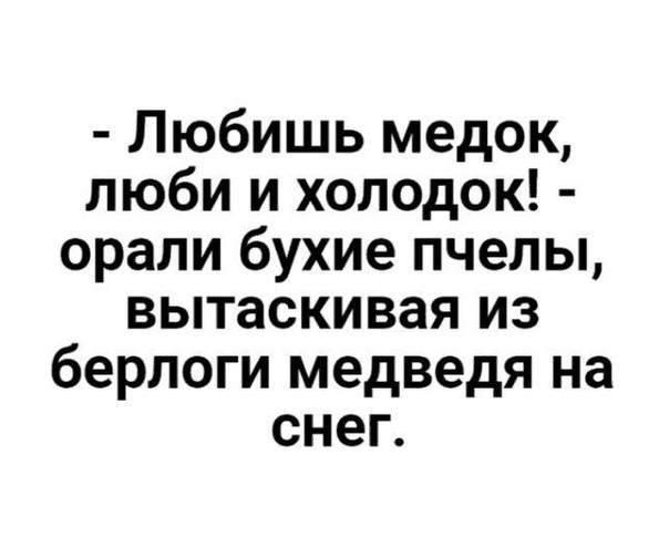 Любишь медок люби и холодок орали бухие пчелы вытаскивая из берлоги медведя на снег