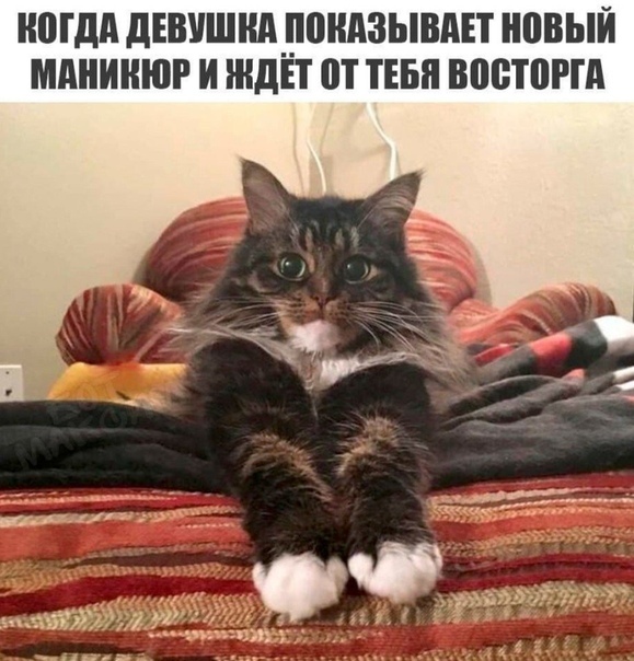 НПГДА дЕВУШНд__ЮНд3ЫВдЕТ ВВЫЙ МАНИНЮР И ЖДЕТ ПТ ТЕБЯ ВЩПВРГА