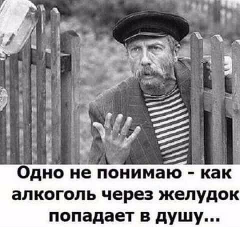 алкоголь через желудок попадает в душу