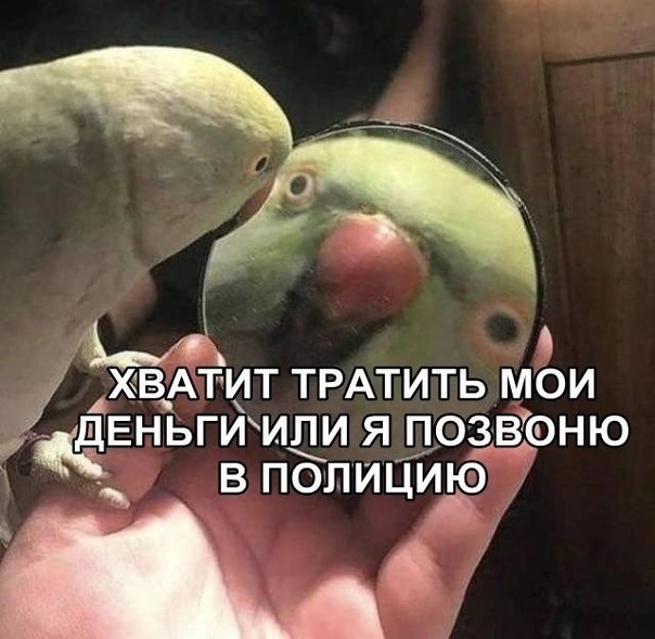 ХВАТИТ ТРАТИТЬ МОИ ЕНЬГИМПИ Я ПОЗВЁНЮ В ПОЛИЦУЪОЫ к