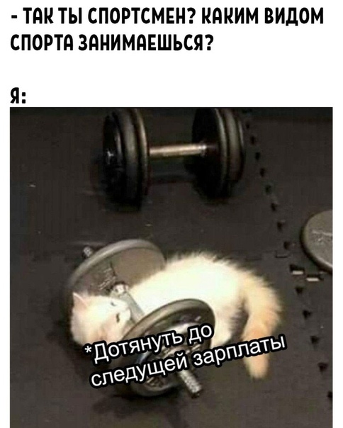 ТАК ТЫ СПОРТСМЕН КдКИМ ВИДОМ СПОРТА ЗдНИМдЕШЪСЯ