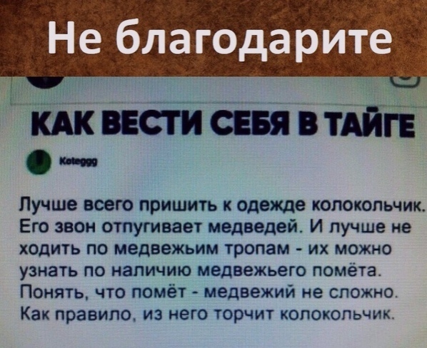 шишвтдйгв Пучше всего пришить к одеше колокольчик Его звон отпугивает медведей И лучше не ходить по медвежъим тропам их можно узнать по наличию медвежьего помёта Понять что помёт медвежий не сложно Как правило из него торчит колокольчик
