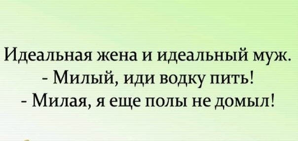 Идеальная жена и идеальный муж Милый иди водку пить Милая я еще полы не домьш
