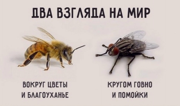 ПВА ВЗГАЯЛА НА МИР 50КРУГ ЦВЕТЫ КРУГЦМ ГОБНО И БМГПУХАНЬЕ И ППМОИКИ