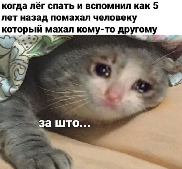 когда ЛёГ СПЗТЬ И ВСПОМНИЛ как 5 лет назад помахал человеку за ШТО