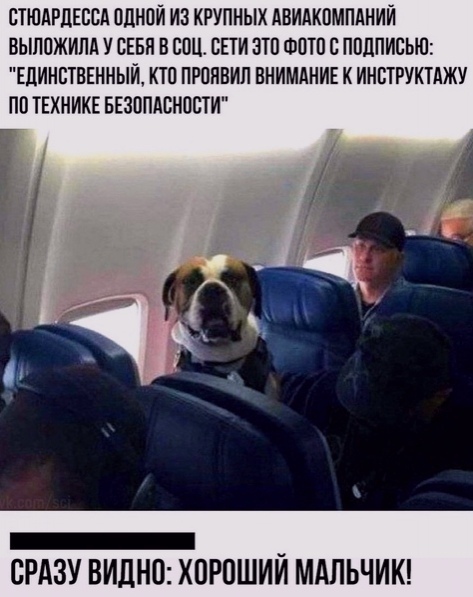 СТЮАРДЕССА ПДНПИ ИЗ КРУПНЫХ АВИАКОМПАНИИ ВЫППЖИПА У ЕЕБП В СПЦ БПИ ЭТП ФПП С ППЛПИСЬЮ ЕДИНСТВЕННЫЙ КТП ПРПЯВИП ВНИМАНИЕ К ИНВТРУКТАЖУ ПП ТЕХНИКЕ БЕЗОПАСНОСТИ _ _ СРАЗУ ВИДНО ХПРПШИИ МАЛЬЧИК