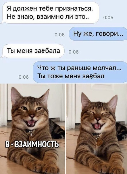 Я должен тебе признаться Не знаю взаимно ли это о 05 006 Ну же говори Ты меня заебапа о 05 Что ж ты раньше молчал о ое Ты тоже меня заебал