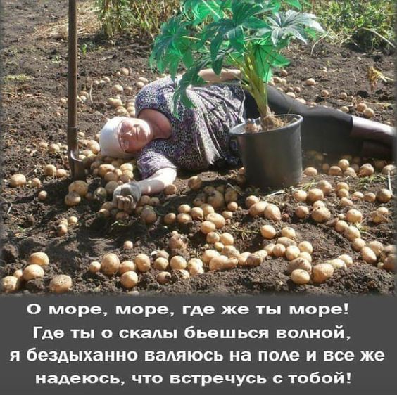 0 море море где же ты море Где ты о скальп бьешься водной Я бездыханно валяюсь на ПОАе И все же надеюсь что встречусь тобой
