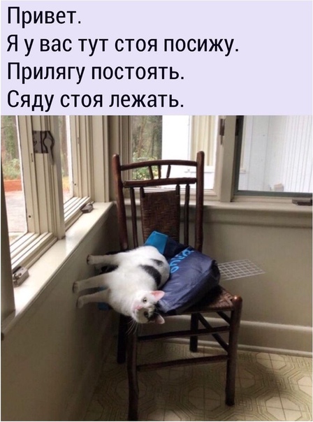 Привет Я у вас тут стоя посижу Припягу постоять Сяду стоя лежать