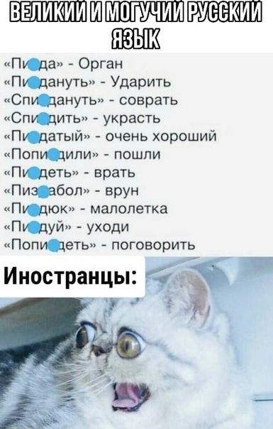 ВЕЛИКИМ РУЕЕКИИ Пища Орган Птануть Ударить Спидануть соврать Спидить украсть Птатый очень хороший Потили пошли Пидеть врать Пизтбоп врун Птюк малолетка Птуй уходи ПопЩеть поговорить Иностранцы _ _