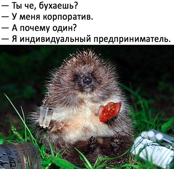 Ты че бухаешь У меня корпоратив А почему один Я индивидуальный предприниматель
