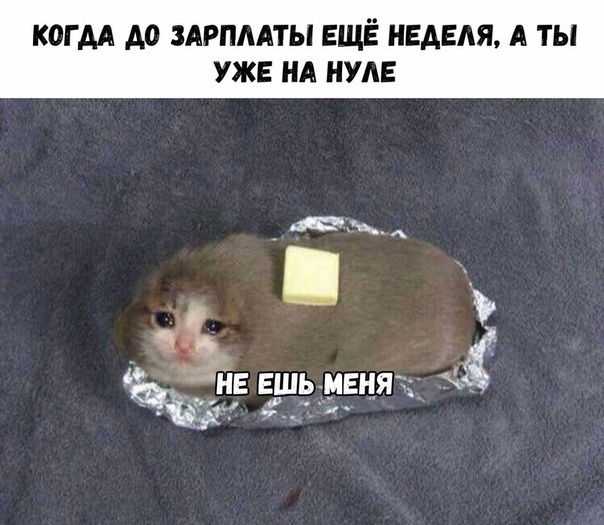 КОГ М А0 ЗАРПЛАТЫ ЕЩЁ НЕДЕЛЯ А ТЫ УЖЕ НА НУАЕ Е ЕЕдщддЕняг
