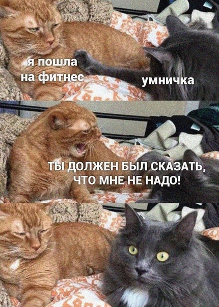 Щдолжвн 5 пл _ гчто мнцнв ндд0