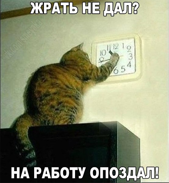 НА РАБОТУ опбздАп