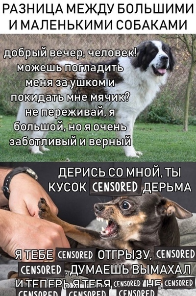 РАЗНИЦА МЕЖДУ БОЛЬШИМИ ИМАПЕНЬКИМИС КАМИ еня за шком и покицдактмь му не мячикіі ТУ переживаи я бальшойнця очень _ забвтдивый и вёрный пЖеш мд _ не дЕРИСЬ СО МН0ЙТЫ КУСОК ЕМБОКЕЙДЕРЬМА О _ЯТЁБЁ сеизокво отггЁзу Емзоквр т вызова дуМАЕшьвЫМАхШ ти ТРПРРЬъЯЁн ЕБЯ кизпвъв ЦЁТЁ они ггпспопп пкпвгп ітппвгп