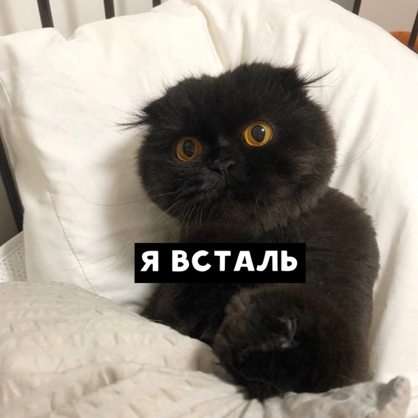 7 встдль