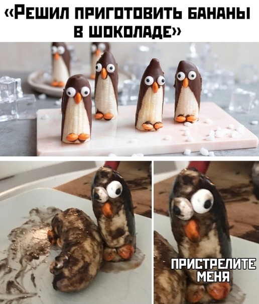 РЕШИЛ ПРИГПТПВИТЬ ЕдНдНЫ В ШПКППддЕ