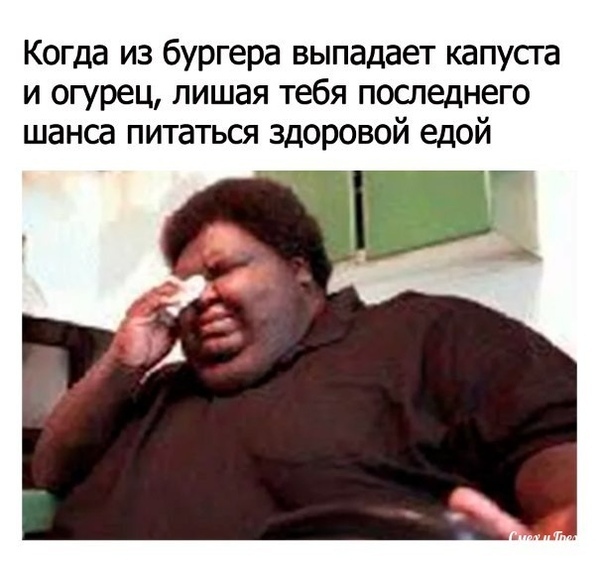 Когда из бургера выпадает капусга и огурец лишая тебя последнего шанса питаться здоровой едой