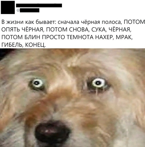 В жизни как бывает сначала чёрная полоса ПОТОМ ОПЯТЬ ЧЁРНАЯ ПОТОМ СНОВА СУКА ЧЁРНАЯ ПОТОМ БЛИН ПРОСТО ТЕМНОТА НАХЕР МРАК ГИ БЕЛ Ь КОН ЕЦ