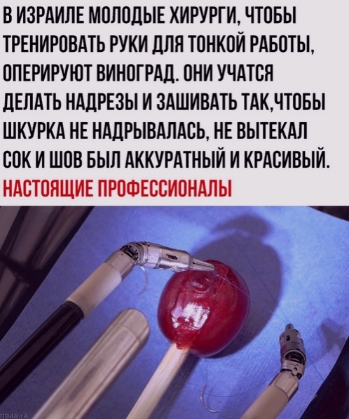В ИЗРАИЛЕ М0Л0ЛЫЕ ХИРУРГИ ЧТПБЫ ТРЕНИРПВАТЬ РУКИ ЛПП ТПНКПИ РАБОТЫ ППЕРИРУЮТ ВИНПГРАЛ ПНИ УЧАТВЯ дЕЛАТЬ НАДРЕЗЫ И ЗАШИВАТЬ ТАКЧТОБЫ ШКУРКА НЕ НАЦРЫВАЛАБЬ НЕ ВЫТЕКАЛ ЮК И ШОВ БЫЛ АКИУРАТНЫИ И КРАСИВЫЙ и г