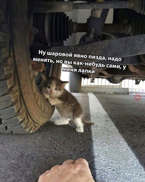 НУ Шаровой яв та надо мекягь но вы ка Удь сами у _