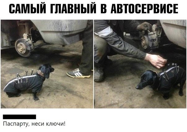 Паспарту неси ключи