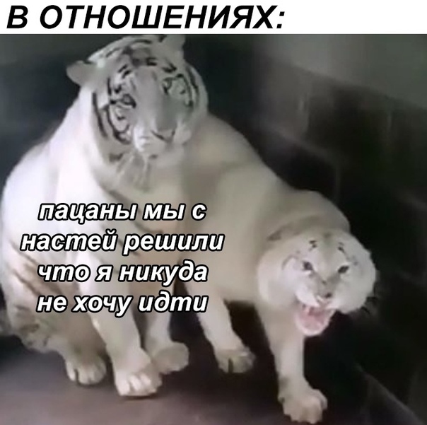 В ОТНОШЕНИЯХ