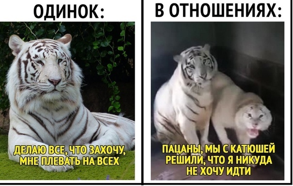 ОДИНОК В ОТНОШЕНИЯХ А