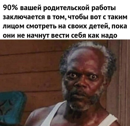 90 вашей родительской работы заключается в том чтобы вот с таким ЛИЦОМ СМОТРЕТЬ на СВОИХ детей пока ОНИ не НЗЧНУТ ВЕСТИ себя как надо