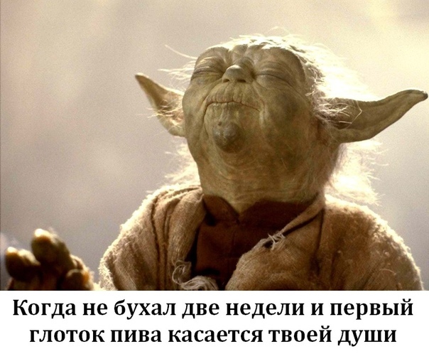 Когда не бухал две недели и первый глоток пива касается твоей души