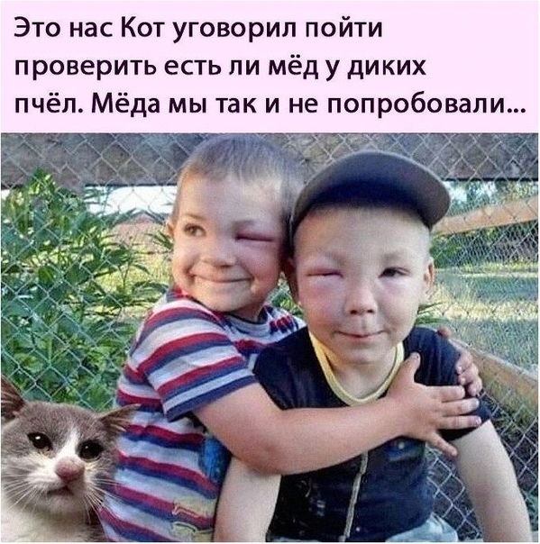Это нас Кот уговорил пойти проверить есть ли мёд у диких пчёл Мёда мы так и не попробовали