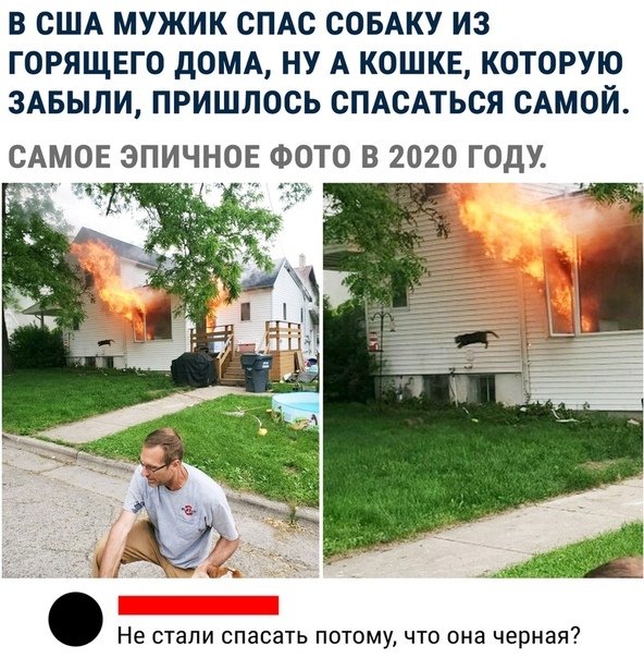 В США МУЖИК СПАС СОБАКУ ИЗ ГОРЯЩЕГО дОМА НУ А КОШКЕ КОТОРУЮ ЗАБЫЛИ ПРИШЛОСЬ СПАСАТЬСЯ САМОЙ САМОЕ ЭПИЧНОЕ ФОТО В 2020 ГОДУ _ Не стали спасать потому что она черная