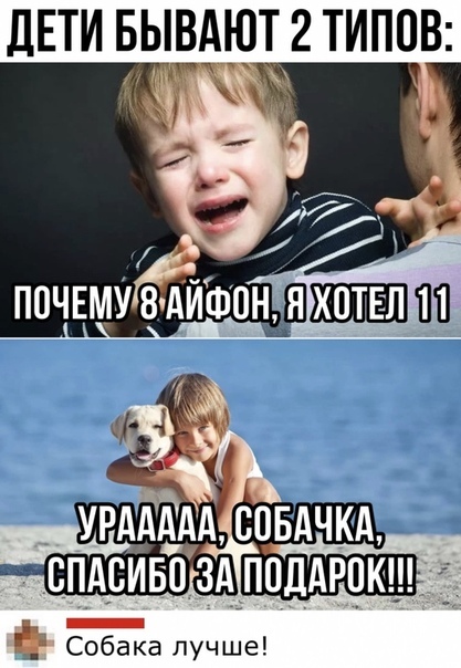ЛЕТИ БЫВАЮТ 2 ТИПОВ УРААААА СОБАЧКА СПАСИБО ЗА ПОДАРЦКЦ _ Собака лучше