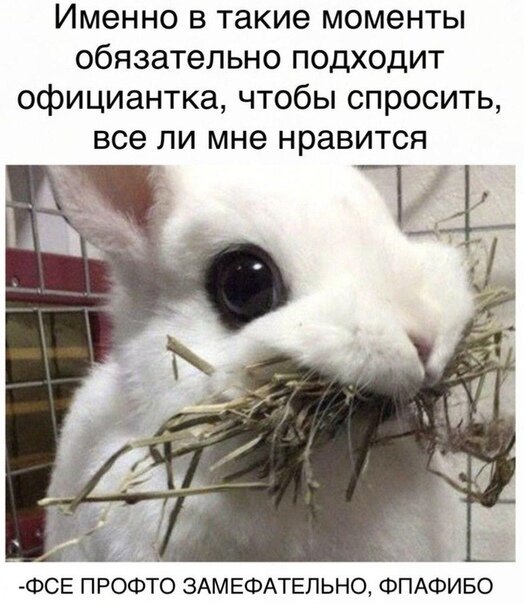 Именно в такие моменты обязательно подходит официантка чтобы спросить все ли мне нравится ФСЕ ПРОФТО ЗАМЕФАТЕПЬНО ФПАФИБО