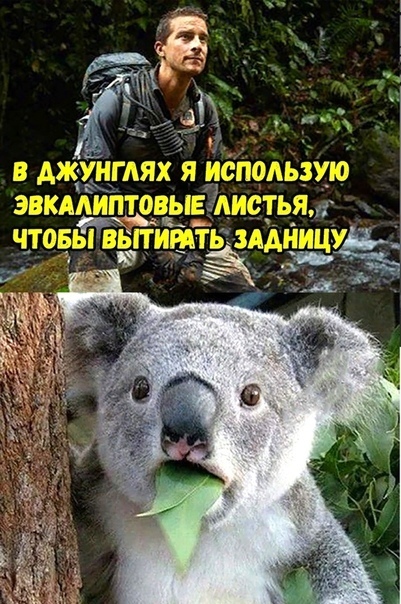 г д ь мы ЪЩ