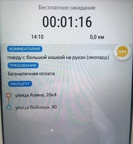 Бесплатное ожидание 000116 1410 00 км поеду с большой кошкой на руках леопард