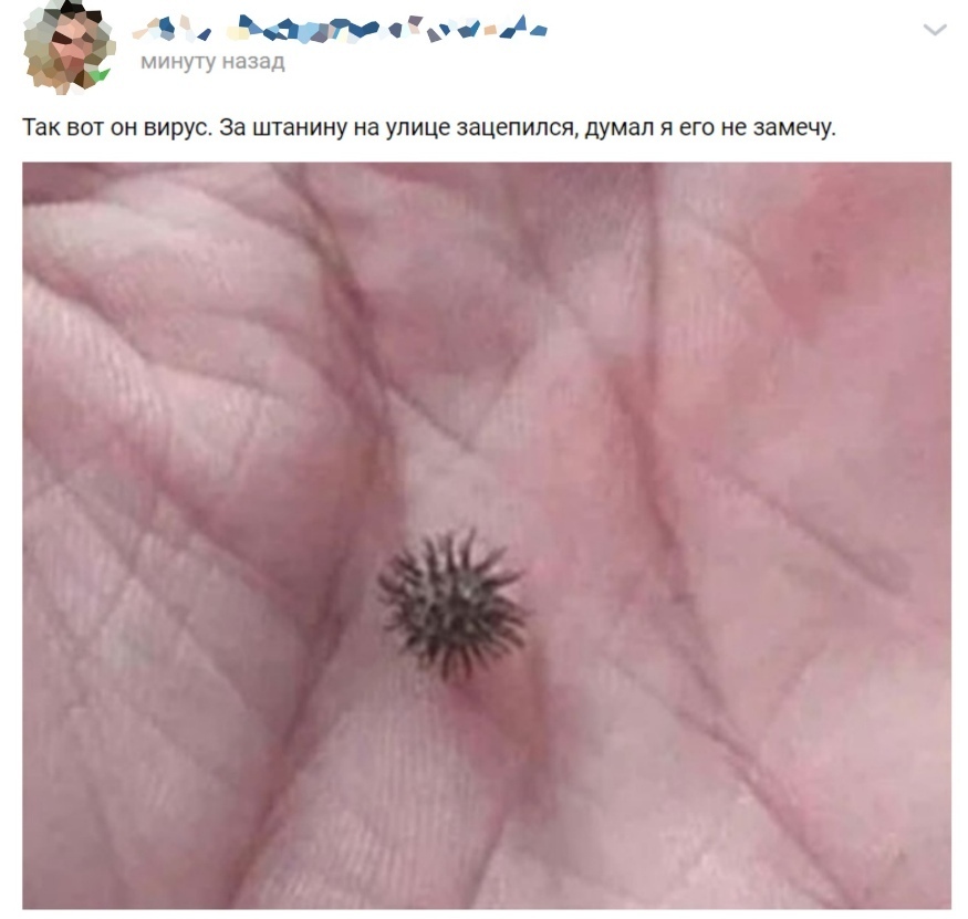 ъ минуту назад