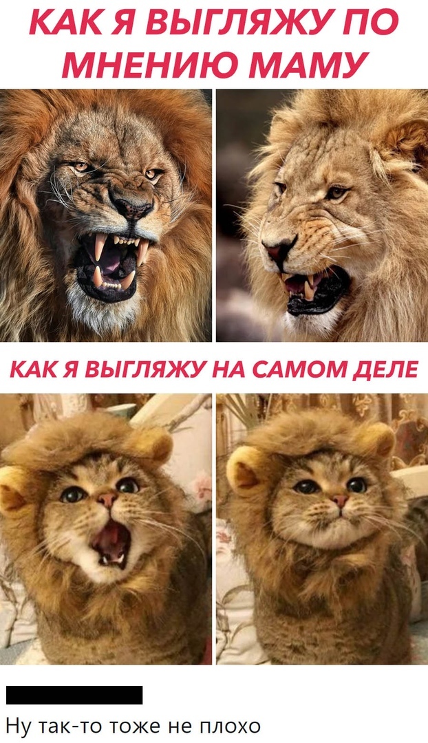 КАКЯ ВЫГЛЯКУ ПО МНЕНИЮ МАМУ НУ ТЭК ТО ТОЖЕ Не ПЛОХО