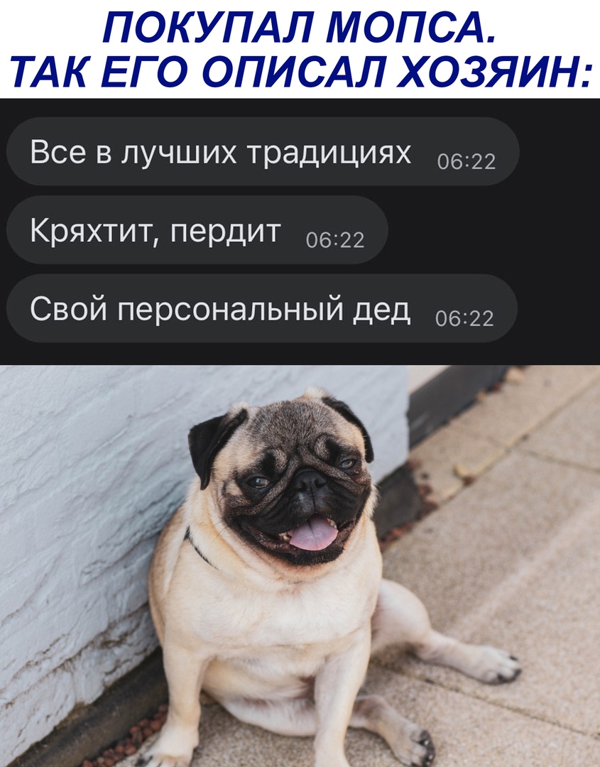 ПЛ УПА МО ЭС4м ТАП ЕГ П7 ррщ ЁЁЗ ЯИНЁ Все в лучших традициях 0622 Кряхтит пердит 0622 Свой персональный дед 0622