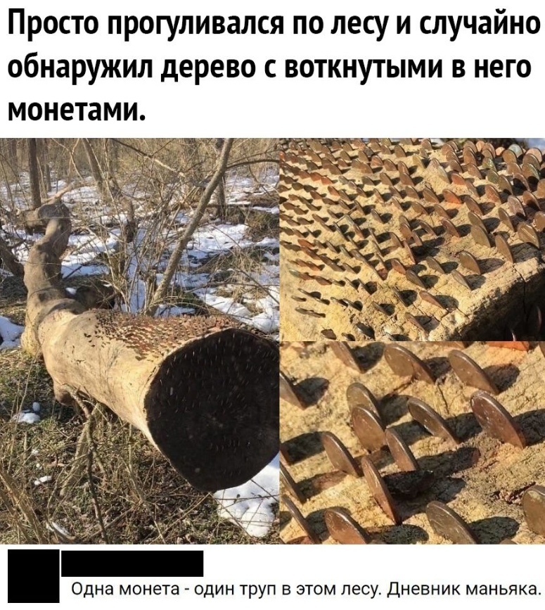 Просто прогуливался по лесу и случайно обнаружил дерево с воткнутыми в него монетами Одна монета ОДИН Труп В ЭТОМ лесу Дневник маньяка