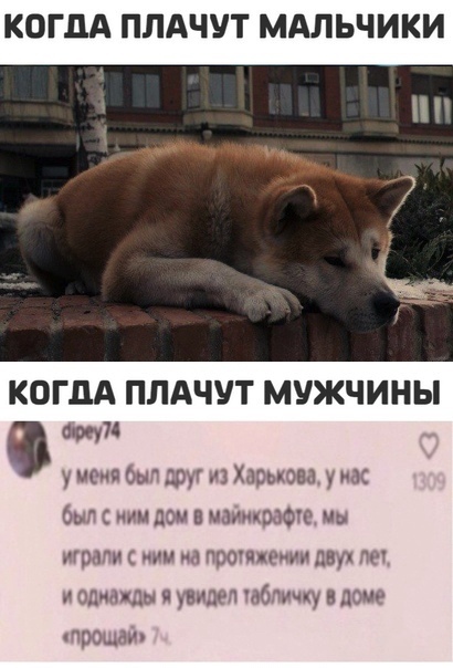 КОГДА ПЛАЧУТ МАЛЬЧИКИ КОГДА ПЛАЧУТ МУЖЧИНЫ и у иоия был друг из Харькова у нас был с или дом наиикшфш мы играли иии м прошдеиии двух 7 и однажды я увидел тбпичку дощ прощай
