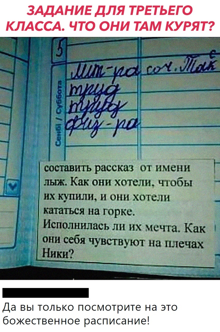 ЗАДАНИЕ ДЛЯ ТРЕТЬЕГО КЛАССА ЧТО ОНИ ТАМ КУРЯТ Да вы только посмотрите на это божественное расписание
