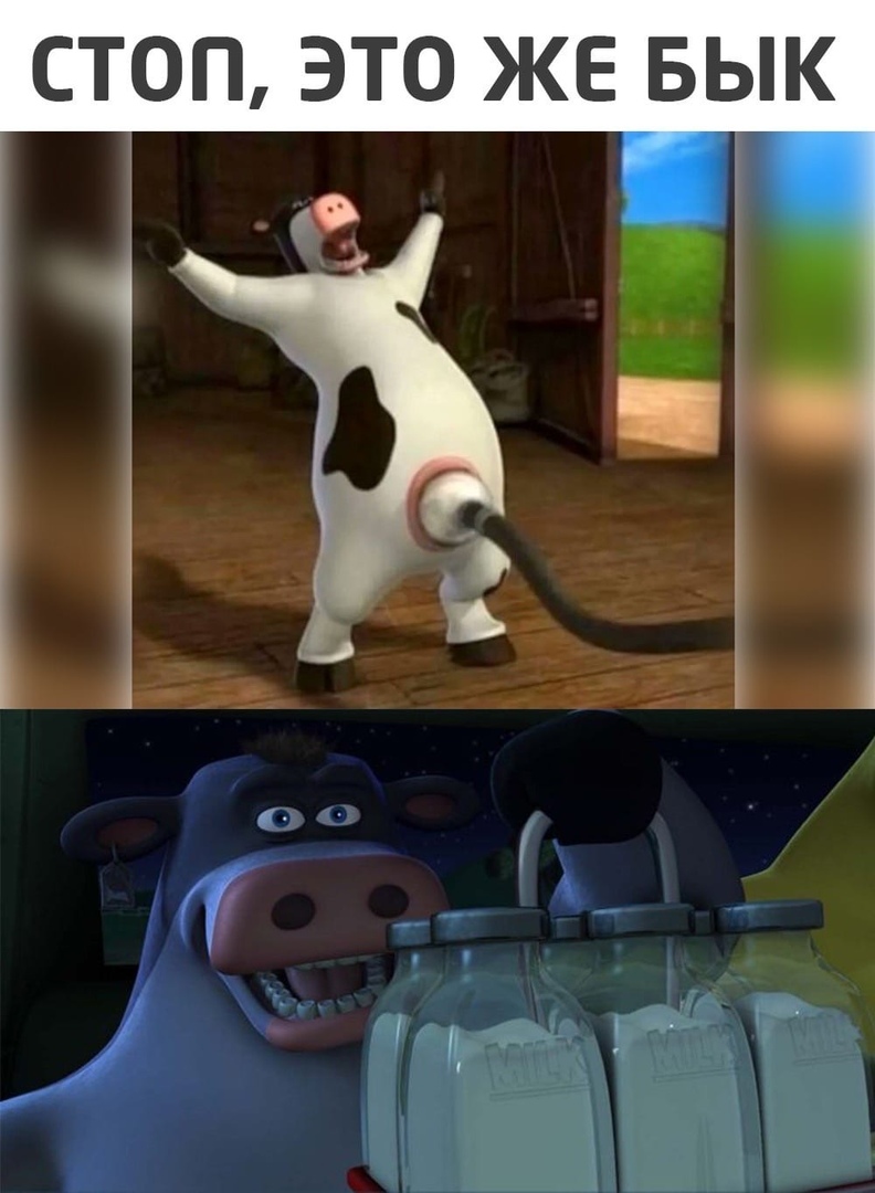 СТОП ЭТО ЖЕ БЫК
