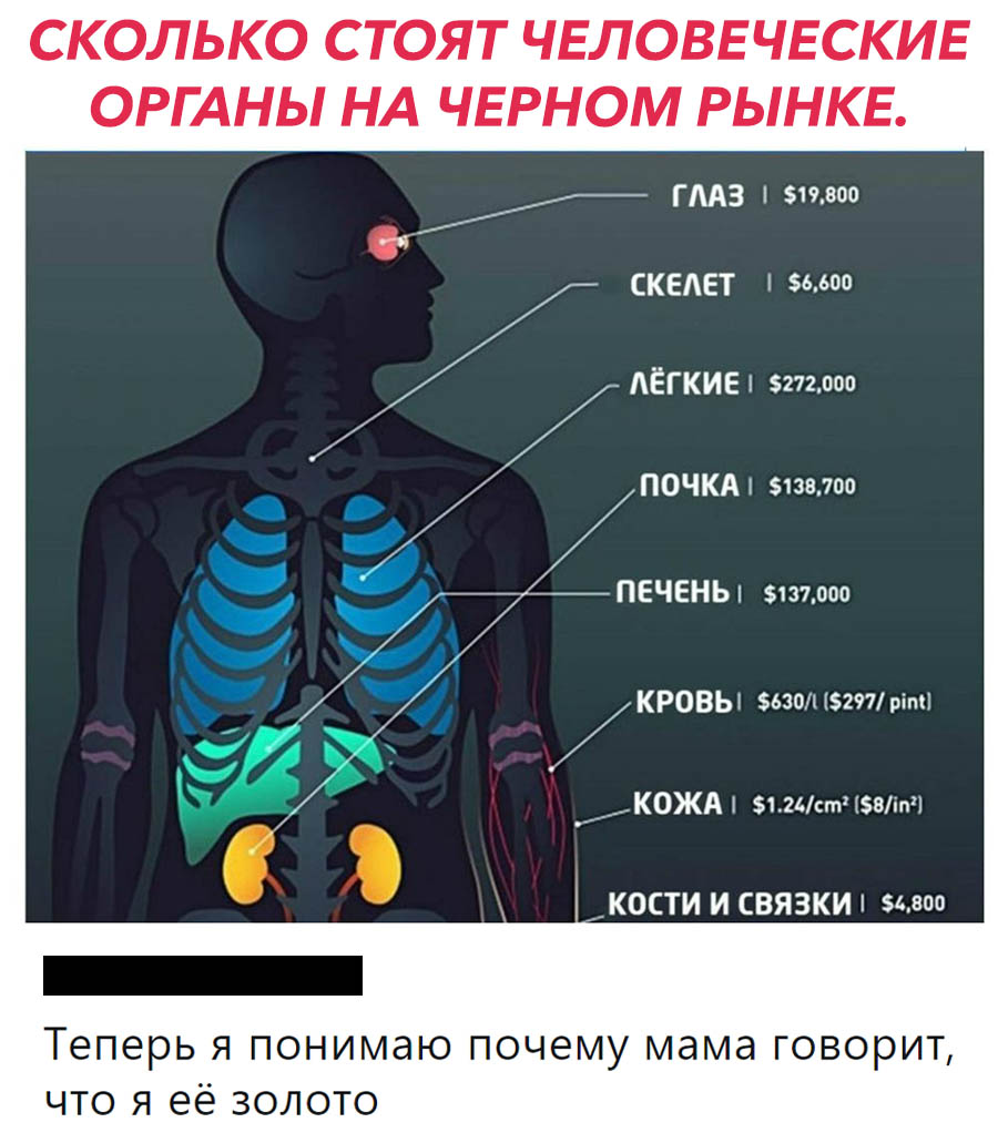 СКОЛЬКО СТОЯТ ЧЕЛОВЕЧЕСКИЕ ОРГАНЫ НА ЧЕРНОМ РЫНКЕ гмз 519300 __ СКЕАЕТ 56 600 АЁГКИЕ 52724100 почкд 51397 ПЕЧЕНЬ 1370гю КРОВЬ шол 297 ріт __К0ЖА 124ст задач с костиисвязки 54500 Теперь я понимаю почему мама говорит что я её золото