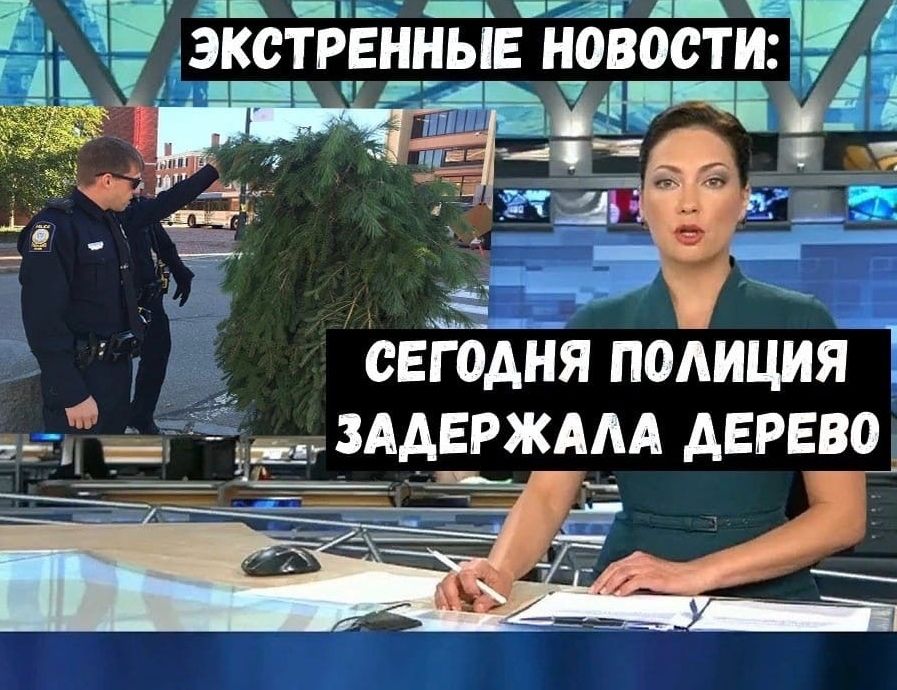 _ _Ък ц д Ё _эксТрвнныв новости _ СЕГОДНЯ полиция _ _ зддЕРЖААА ДЕРЕВО