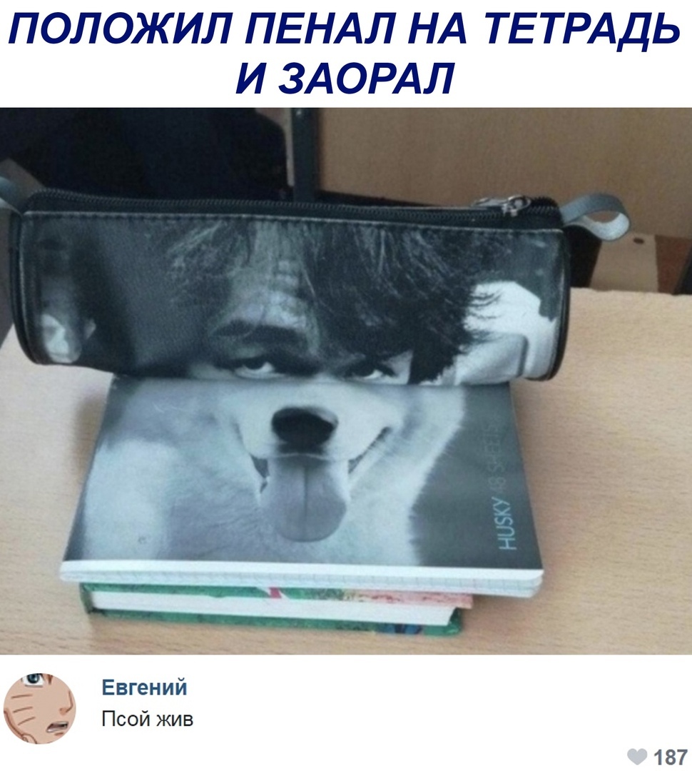 ПОЛОЖИЛ ПЕНАЛ НА ТЕТРАДЬ И ЗАОРАЛ Евгений Псой жив 187